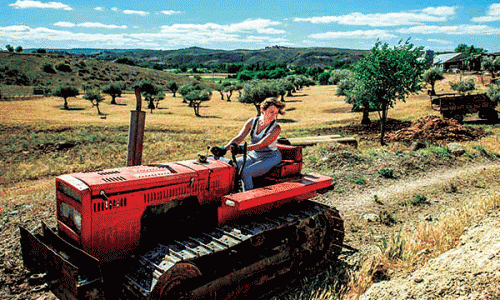 Phụ nữ đang đóng góp vai trò của mình trong ngành nông nghiệp Úc